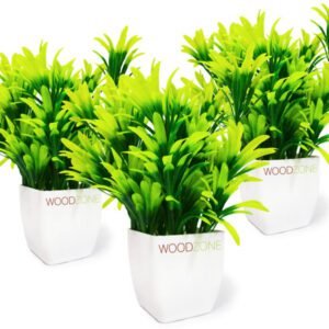 WOODZONE-ARTIFICIAL PLANTS WITH PLASTIC POT-GREEN (PACK OF 3)