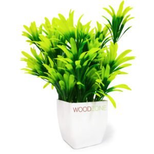 WOODZONE-ARTIFICIAL PLANTS WITH PLASTIC POT-GREEN (PACK OF 1)