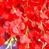 WOODZONE-ARTIFICIAL WISTERIA VINE HANGING FLOWER STRINGS-RED