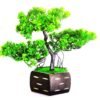 WOODZONE-ARTIFICIAL BONSAI PLANT WITH WOODEN POT-3 STEPS 9 inch
