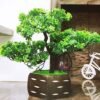 WOODZONE-ARTIFICIAL BONSAI PLANT WITH WOODEN POT-3 STEPS 9 inch
