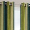 Curtain Decor-Polyester 3D Royal Eyelet Curtain-Green (Pack Of 2)
