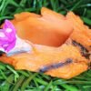 Beckon Venture-Handcrafted Cute Butterfly Shaped Planter-Orange