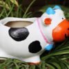 Beckon Venture-Handcrafted Cute Shaped Cow Planter-Multicolor
