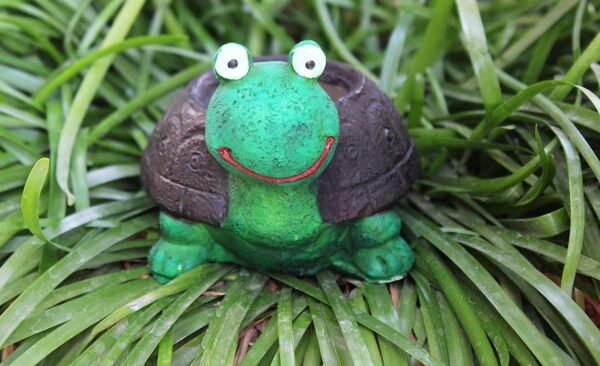 Beckon Venture-Handcrafted Cute Turtoise Shaped Planter-Green & Black